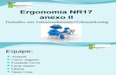 Ergonomia NR17 Anexo II p2
