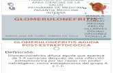 Glomerulonefritis ABELIN