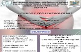Expo Cervicovaginitis Equipo 10