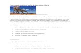 Proyecto Aúlico Dinosaurios (1)