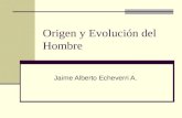 Origen y Evolución Del Hombre