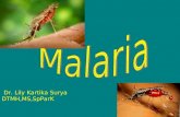 Malaria Kuliah