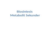 Biosentesis metabolit sekunder