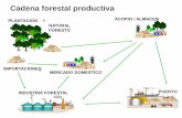 WRI talk_DHewitt_trazabilidad y gobernanza forestal Daphne_0.pdf