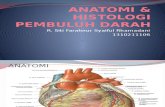 Histologi & Anatomi Pembuluh Darah