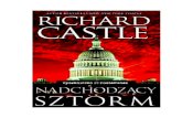 Castle Richard - Derrick Storm 01 - Nadchodzacy Sztorm