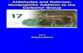 Aldehyde Ketone 1