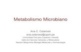 Metabolismo Microbiano 2016 Ana Colarossi