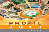 Profil 2013 RSUD Cibabat