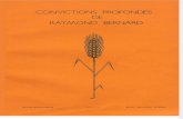 Convictions Profondes de Raymond Bernard (1981)