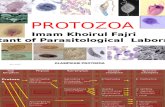 protozoa~ Imam Khoirul Fajri