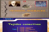 Tejidos Animales 1ºBAC (II)