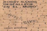 Berenguer. C, Bobby Sands Desfallece en El Muro