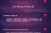 Cheilite-Birzoi Artiom