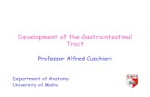 Gastro-intestinal (3).pdf
