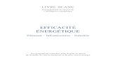Livre Blanc Efficacite Energetique - Gimelec - 09112009-2009-00928-01-E (1)