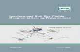 DecommissioningProgrammes - HESS IVRR