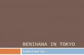 Benihana in Tokyo_shailesh