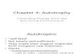 Ch.4 Autotrophy
