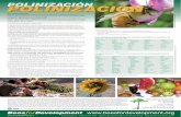 Bfd a2 Poster Pollination Spanish