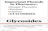 Glycosides 14-15 (1)