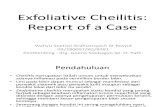cheilitis exfoliatif
