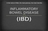 Presentasi Inflammatory Bowel Disease