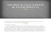 Morfologi Virus & Fungsinya