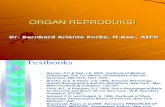 Organ Reproduksi New