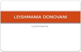 Leishmania Donovani.pptx