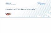 Cognos Dynamic Cubes
