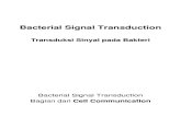 2. Bacterial Signal Transduction.ppt