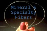 15571135 Speciality Fibres Ppt