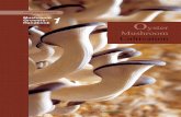 Oyster Mushroom Handbook
