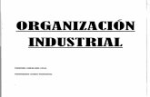 ORGANIZACION INDUSTRIAL.pdf