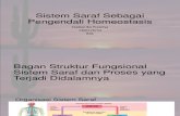IBD 27_B06_Sistem Saraf Sebagai Pengendali Homeostasis_Septian Ika Prasetya