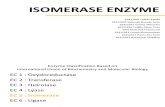ENZIM ISOMERASE 6.pptx