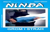 Nindja 137 - Derek Finegan - Grom i Strah (Def & Allenn & Emeri)(3.2 MB)