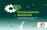 Compensacion Ambiental_SPDA