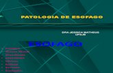 01 - Patologia de Esofago