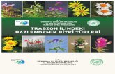 Trabzon İlindeki Endemik Bitki Türleri Kitabı