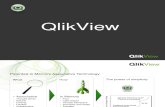 QlikView-IP2 (2)
