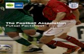 Futsal Factsheet
