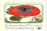 Pappbuch / Schnecke, Pilz und Schmetterling / 1982