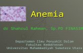Anemia I , blok hematologi , fk umsu 2013