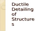 17418_Ductile Detailing (1)