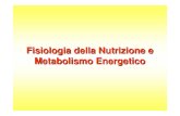 Fisiologia Della Nutrizione e Metabolismo Energetico