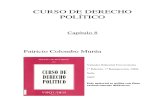 Curso de Derecho Politico - Capitulo 08