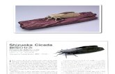 Robert j Lang - Shizuoka Cicada