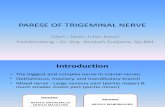 Parese of Trigeminal Nerve